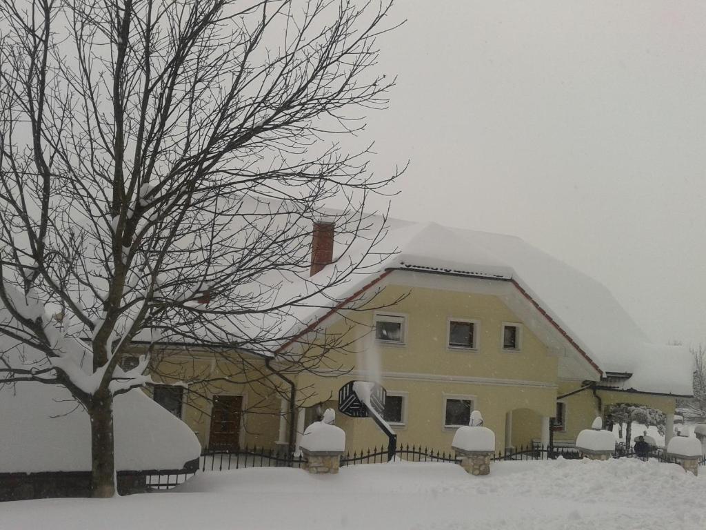 Grobelnik Tourist Farm Farm stay *